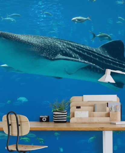Whale Shark Taustakuva