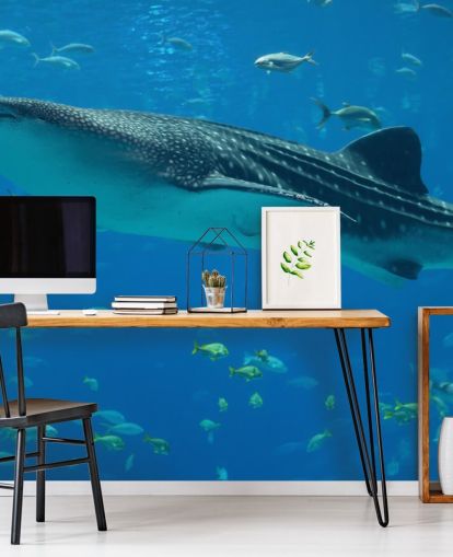 Hval Shark Bakgrunn