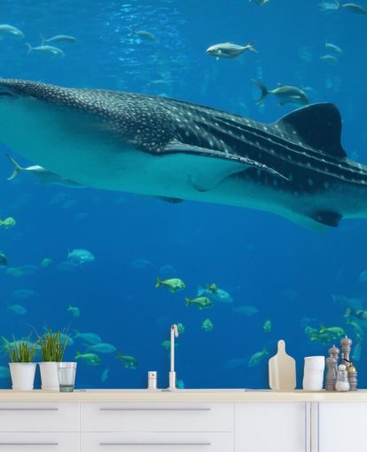 Whale Shark Wallpaper