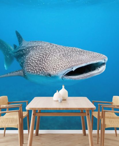 Spotted Whale Shark Mural