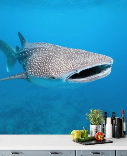 Spotted Whale Shark Mural