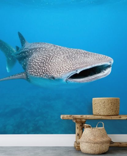 Spotted Whale Shark Mural