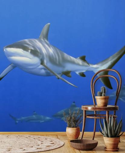 Papel pintado de tiburones y amigos Papel pintado de tiburones y amigos