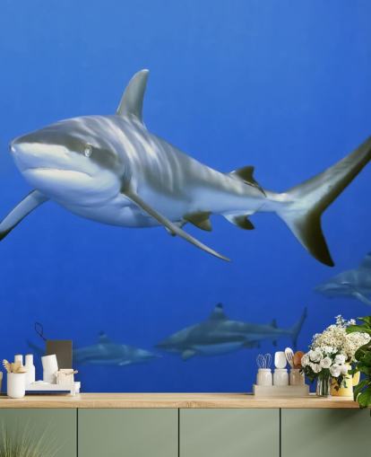 Shark ja ystävät taustakuva