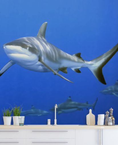 Shark and Friends Wallpaper