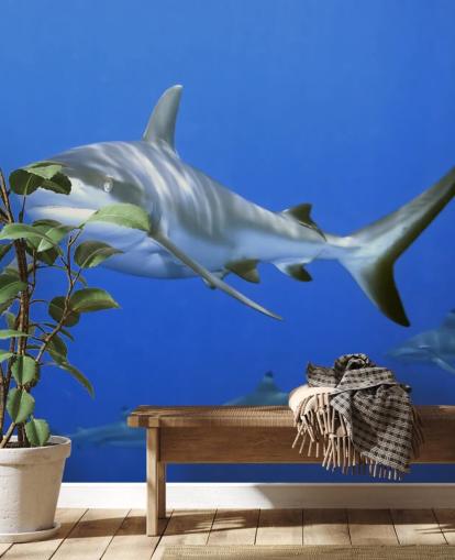 Shark ja ystävät taustakuva