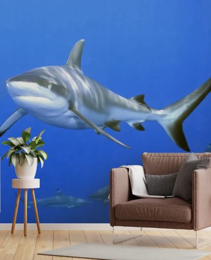 Sfondo Shark and Friends