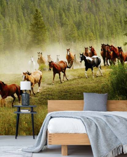 Wild Different Breeds of Horses Running in Pine Tree Field Wallpaper Wild Different Breeds of Horses Running in Pine Tree Field Wallpaper