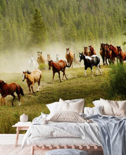 Wilde verschiedene Pferderassen, die im Kiefernfeld laufen Wallpaper Wilde verschiedene Pferderassen, die im Kiefernfeld laufen Wallpaper