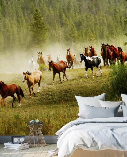 Wild Different Breeds of Horses Running in Pine Tree Field Wallpaper