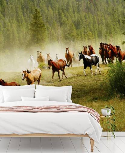 Wild Different Breeds of Horses Running in Pine Tree Field Wallpaper