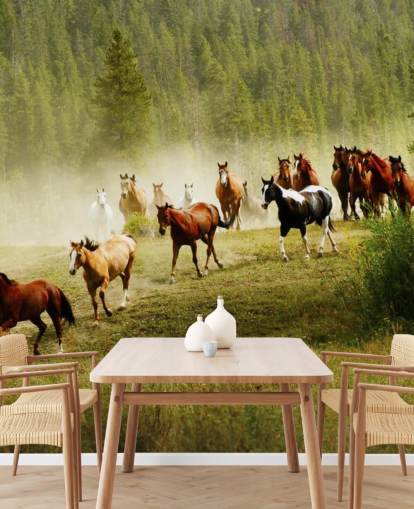 Fondo de pantalla de diferentes razas de caballos que corren en el campo de pino Fondo de pantalla de diferentes razas de caballos que corren en el campo de pino