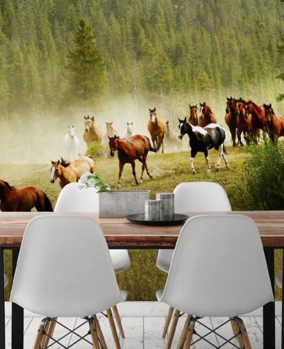 Wild Different Breeds of Horses Running in Pine Tree Field Wallpaper