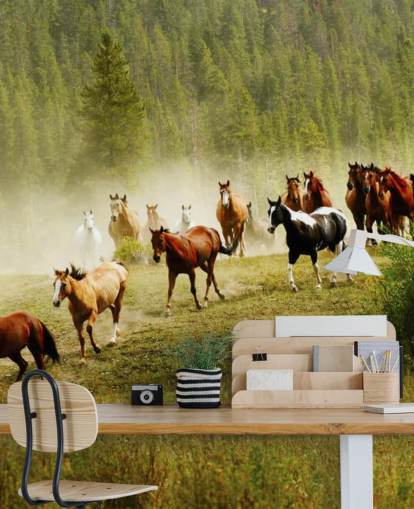 Villit eri hevosrodut juoksevat Pine Tree Field Taustakuva