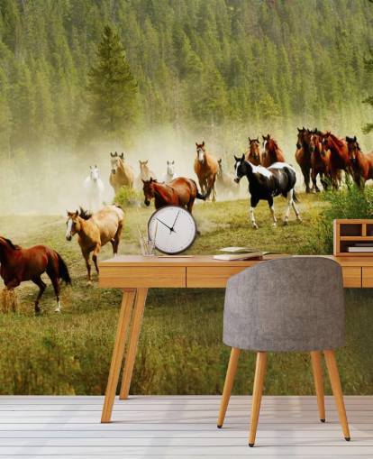 Wilde verschillende rassen van paarden rennen in dennenboomveld behang Wilde verschillende rassen van paarden rennen in dennenboomveld behang