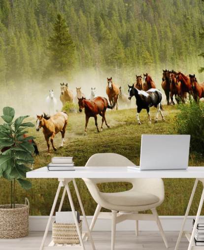 Wild Different Breeds of Horses Running in Pine Tree Field Wallpaper