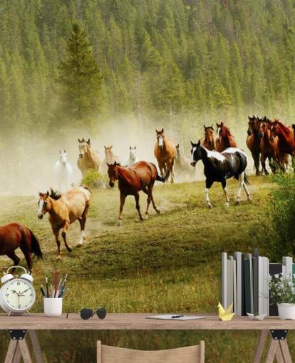 Fondo de pantalla de diferentes razas de caballos que corren en el campo de pino Fondo de pantalla de diferentes razas de caballos que corren en el campo de pino