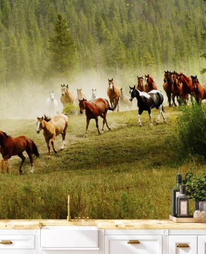 Fondo de pantalla de diferentes razas de caballos que corren en el campo de pino