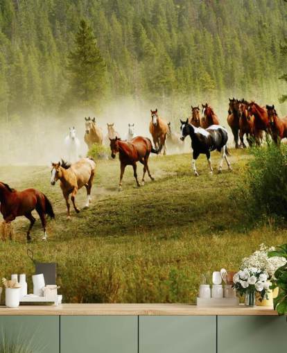Wild Different Breeds of Horses Running in Pine Tree Field Wallpaper