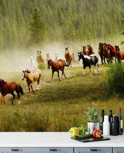 Fondo de pantalla de diferentes razas de caballos que corren en el campo de pino Fondo de pantalla de diferentes razas de caballos que corren en el campo de pino