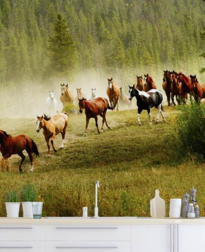 Wild Different Breeds of Horses Running in Pine Tree Field Wallpaper
