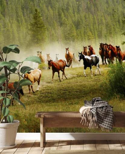 Wild Different Breeds of Horses Running in Pine Tree Field Wallpaper
