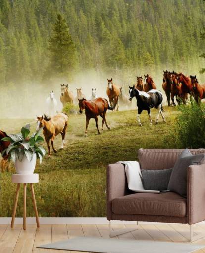 Wild forskjellige raser av hester kjører i Pine Tree Field Bakgrunn