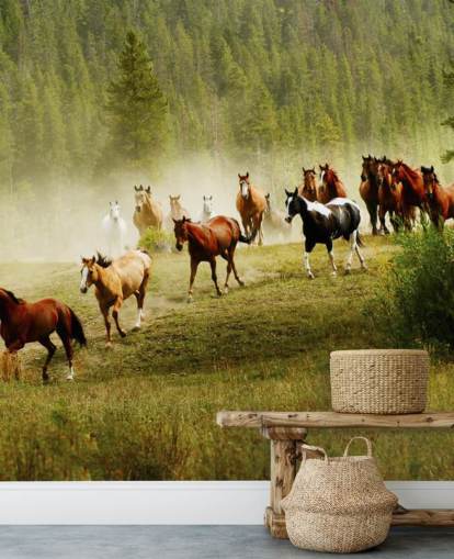 Wild Different Breeds of Horses Running in Pine Tree Field Wallpaper