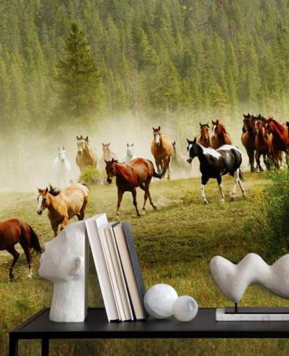 Wild Different Breeds of Horses Running in Pine Tree Field Wallpaper Wild Different Breeds of Horses Running in Pine Tree Field Wallpaper