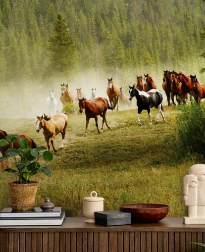 Wilde verschillende rassen van paarden rennen in dennenboomveld behang Wilde verschillende rassen van paarden rennen in dennenboomveld behang