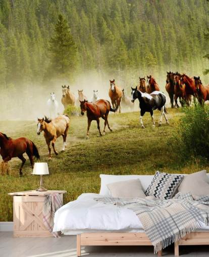 Wild Different Breeds of Horses Running in Pine Tree Field Wallpaper