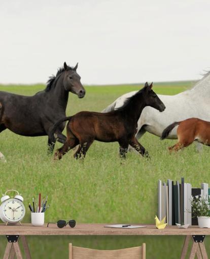 Group of Horses in Long Grass Wallpaper