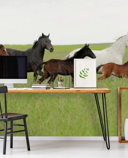 Gruppe af Heste i Lang Grass Baggrund