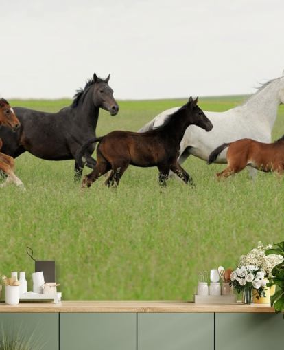 Fondo de pantalla de grupo de caballos en hierba larga Fondo de pantalla de grupo de caballos en hierba larga