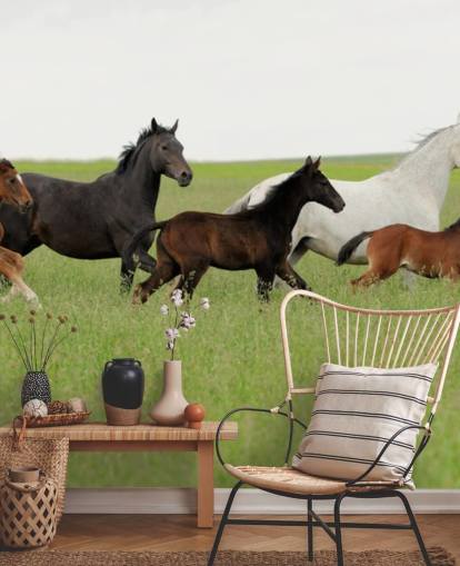 Groep paarden in lang gras behang Groep paarden in lang gras behang