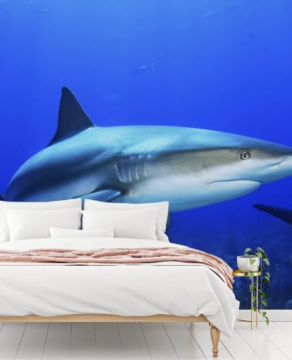 mural tiburón solitario