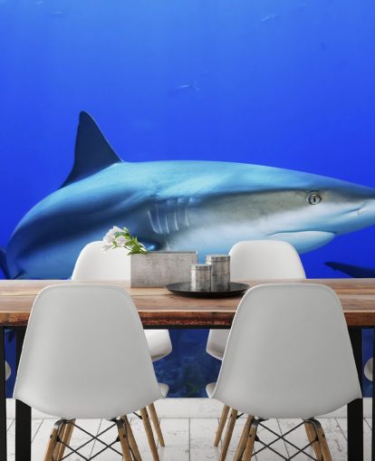 Lonely Shark -seinämaalaus