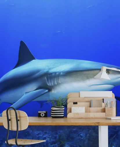 Lonely Shark -seinämaalaus