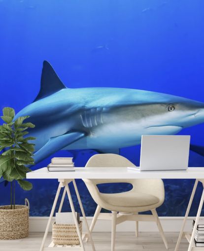 Lonely Shark Mural