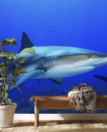 Murale Requin solitaire