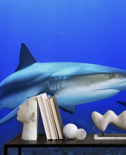 Lonely Shark -seinämaalaus Lonely Shark -seinämaalaus