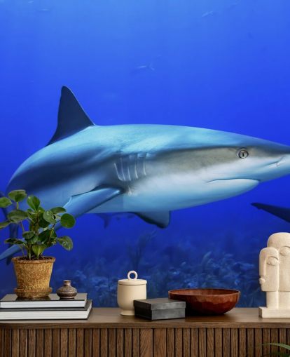 mural tiburón solitario