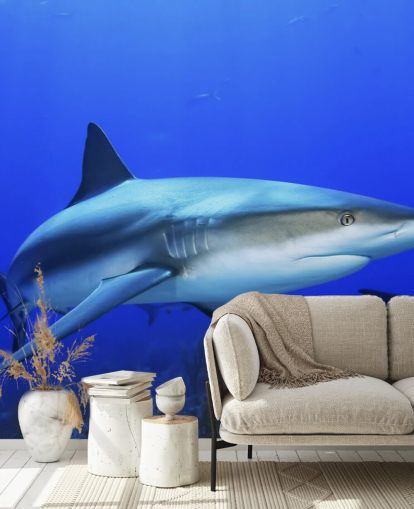 Decorazione murale con squalo