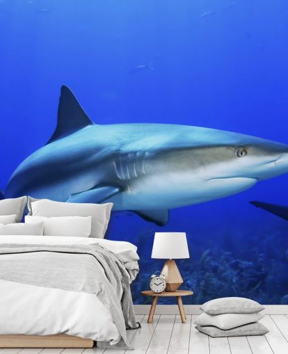 Murale Requin solitaire