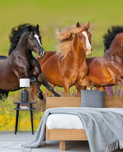 Tre heste, der kører i en Heather Field Baggrund Tre heste, der kører i en Heather Field Baggrund