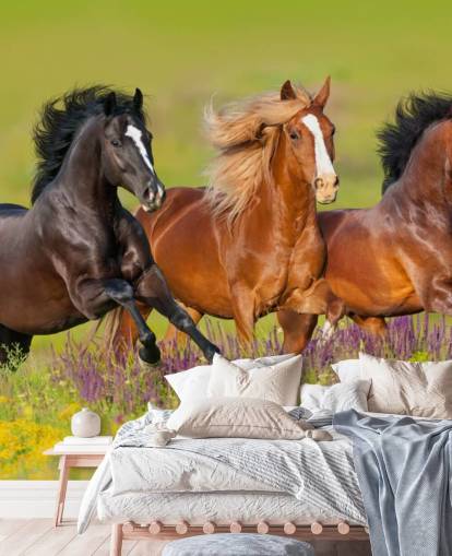 Fondo de pantalla de Tres caballos corriendo en un campo de brezo