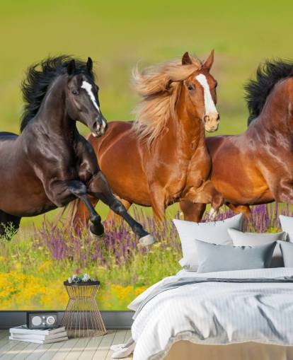 Fondo de pantalla de Tres caballos corriendo en un campo de brezo