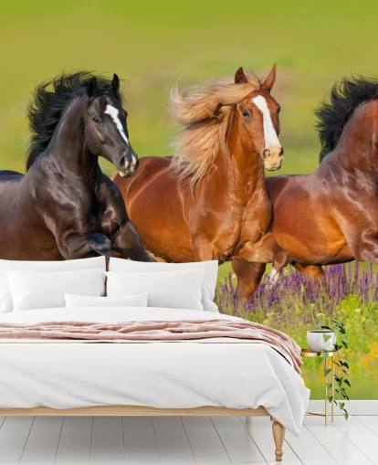 Three Horses Running in a Heather Field Wallpaper