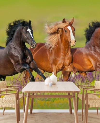 Três cavalos correndo em um papel de parede de campo de urze