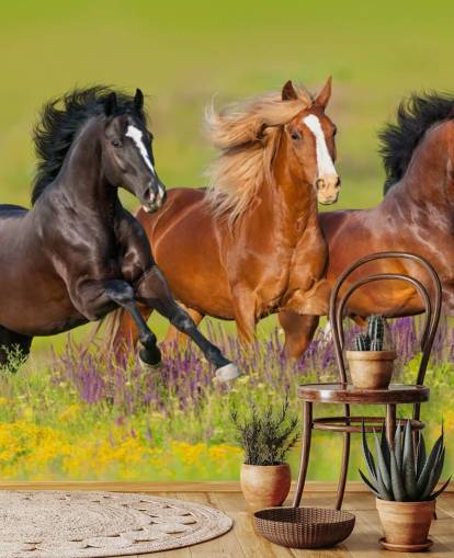 Tre hästar som körs i en Heather Field Bakgrund Tre hästar som körs i en Heather Field Bakgrund